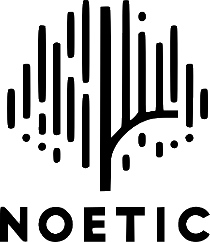 Noetic LLC